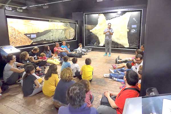 El Museo de la Biodiversidad cierra hasta el 20 de junio por las obras del ascensor  